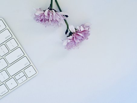 2019年在線企業(yè)的5個重要SEO技巧-瑩晨建站-www.luyingji.cn 2019年在線企業(yè)的5個重要SEO技巧-瑩晨建站-www.luyingji.cn